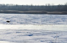 Стрелка Дона и Аксая в самый холодный день в году