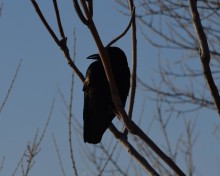 Стрелка Дона и Аксая в самый холодный день в году
