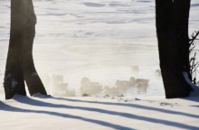 Стрелка Дона и Аксая в самый холодный день в году