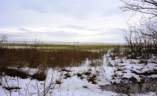 Донская полузима полувесна накануне Сретения.