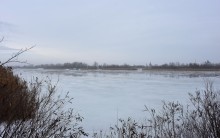 Донская полузима полувесна накануне Сретения.