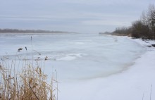 Донская полузима полувесна накануне Сретения.