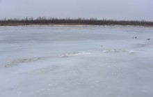 Донская полузима полувесна накануне Сретения.