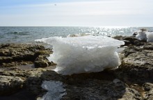 Конец февраля и освобождение Меотиды ото льда на берегу у хутора Рожо