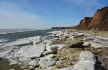 Конец февраля и освобождение Меотиды ото льда на берегу у хутора Рожо