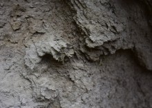 Песчаные розы на обрыве у Миуса