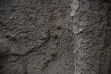 Песчаные розы на обрыве у Миуса