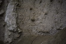 Песчаные розы на обрыве у Миуса