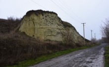 Песчаные розы на обрыве у Миуса