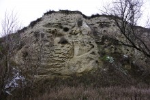 Песчаные розы на обрыве у Миуса