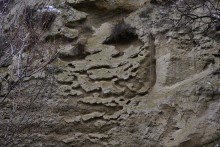 Песчаные розы на обрыве у Миуса