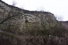 Песчаные розы на обрыве у Миуса