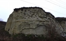 Песчаные розы на обрыве у Миуса