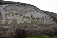 Песчаные розы на обрыве у Миуса