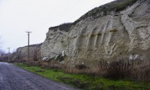 Песчаные розы на обрыве у Миуса