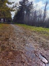 Весна, грязь