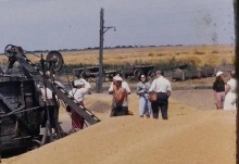 Стационарная молотилка в ростовском колхозе в 1958 г. 