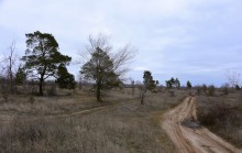 Ранняя весна в междуречье Калитвы и Быстрой