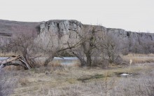 Ранняя весна в междуречье Калитвы и Быстрой