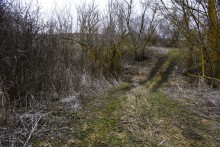 Гребля у скалы на реке Быстрой