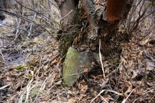 Гребля у скалы на реке Быстрой