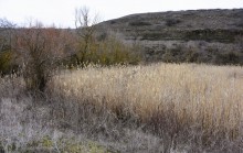 Гребля у скалы на реке Быстрой