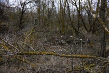 Гребля у скалы на реке Быстрой