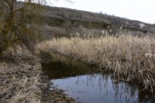 Гребля у скалы на реке Быстрой