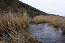 Гребля у скалы на реке Быстрой