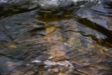 Гребля у скалы на реке Быстрой