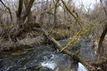 Гребля у скалы на реке Быстрой