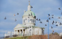 Птицы весной на пруду у Сурб Хач, кряквы, лысухи, чайки