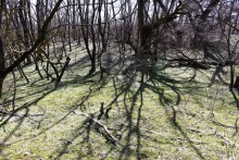 Бетонный корабль в реке Аксай