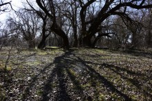 Бетонный корабль в реке Аксай