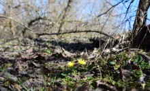 Бетонный корабль в реке Аксай