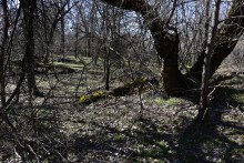 Бетонный корабль в реке Аксай