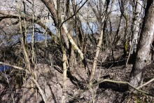 Бетонный корабль в реке Аксай