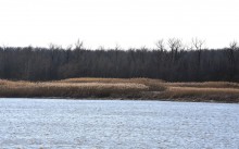 На Стрелке в марте