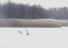 На Стрелке в марте