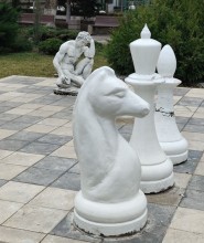 Шахматы, Ростов-на-Дону