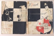 Шахматы, Ростов-на-Дону