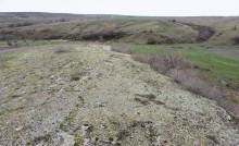 Цветущая весенняя степь на реке Кундрючьей