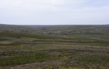 Цветущая весенняя степь на реке Кундрючьей