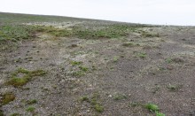 Цветущая весенняя степь на реке Кундрючьей