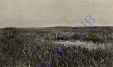 История Аксайско-Донского займища