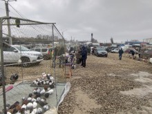 Птичий рынок в Аксае