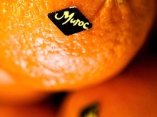 Апельсины (Марокко)