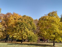 Осенняя природная картина.