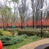 Парк "Осенний" на Чкаловском