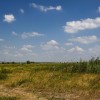 Путешествие по ерикам Караич, Скупому и Золотому, вокруг озера Сундук, в займище между рекой Аксай и Доном